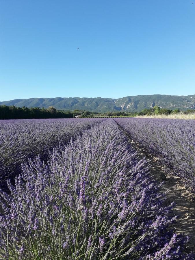 Gite Le Bagnol Un Coin De Paradis Maubec  Zewnętrze zdjęcie
