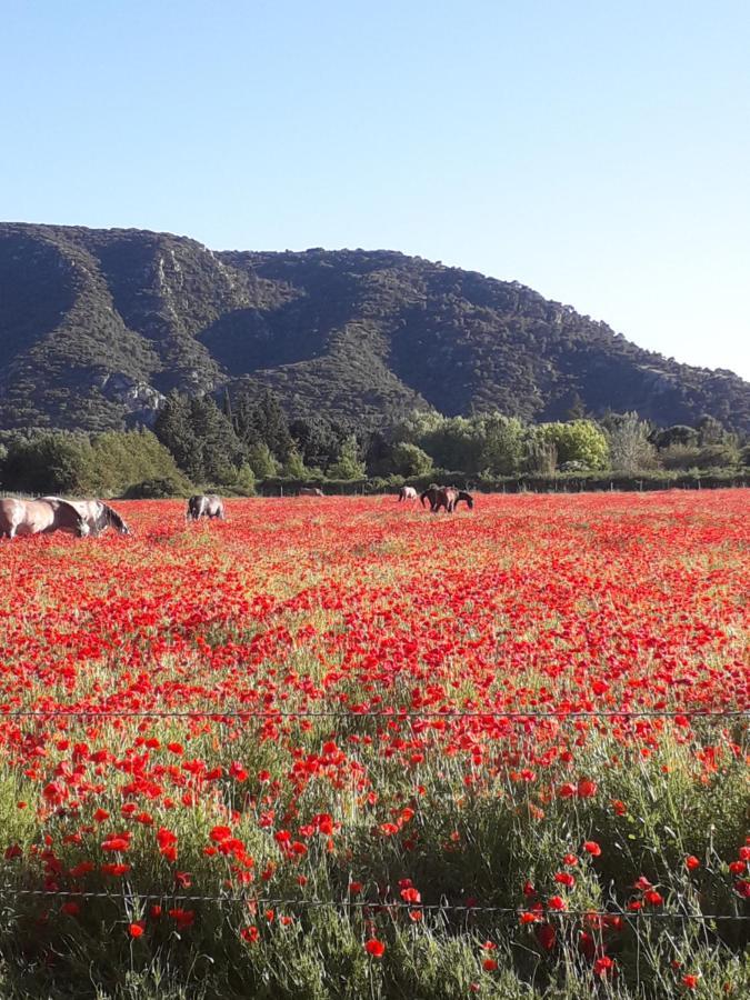 Gite Le Bagnol Un Coin De Paradis Maubec  Zewnętrze zdjęcie