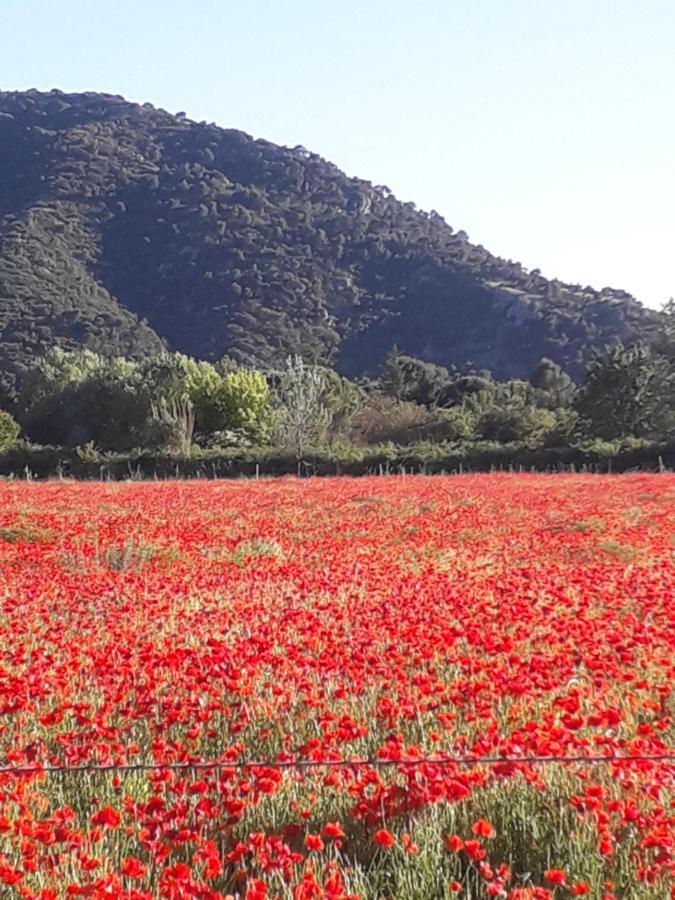 Gite Le Bagnol Un Coin De Paradis Maubec  Zewnętrze zdjęcie